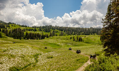 Summer Mountain Seen